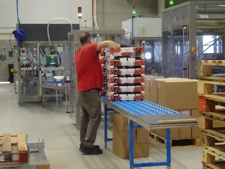 Grâce à la collecte automatique des données par codes-barres, Coöperatie Hoogstraten est en mesure de traiter ses palettes d’emballage vide plus rapidement tout en diminuant le nombre d’erreurs.