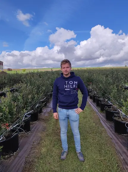 En médaillon, Rodolphe Schneider, producteur de fraises hors-sol, découvre depuis deux ans la culture de myrtille en pots.