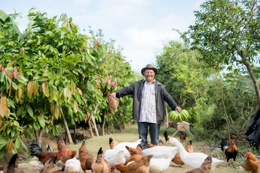 L'agro-écologie et la biodiversité sont à la base du développement durable développé par un groupement de producteurs dominicains de banane bio.