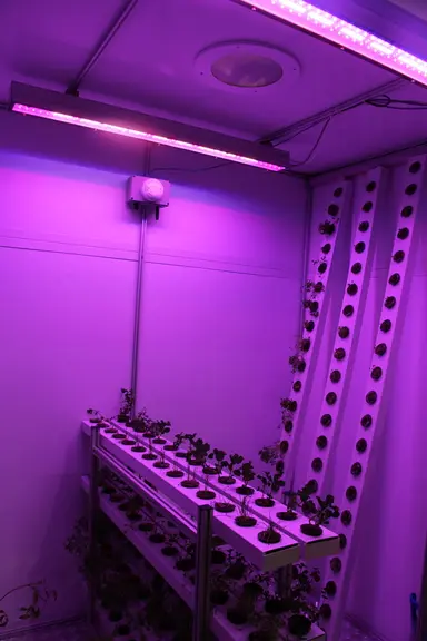 Huit innovations technologiques pour les cultures de fruits et légumes