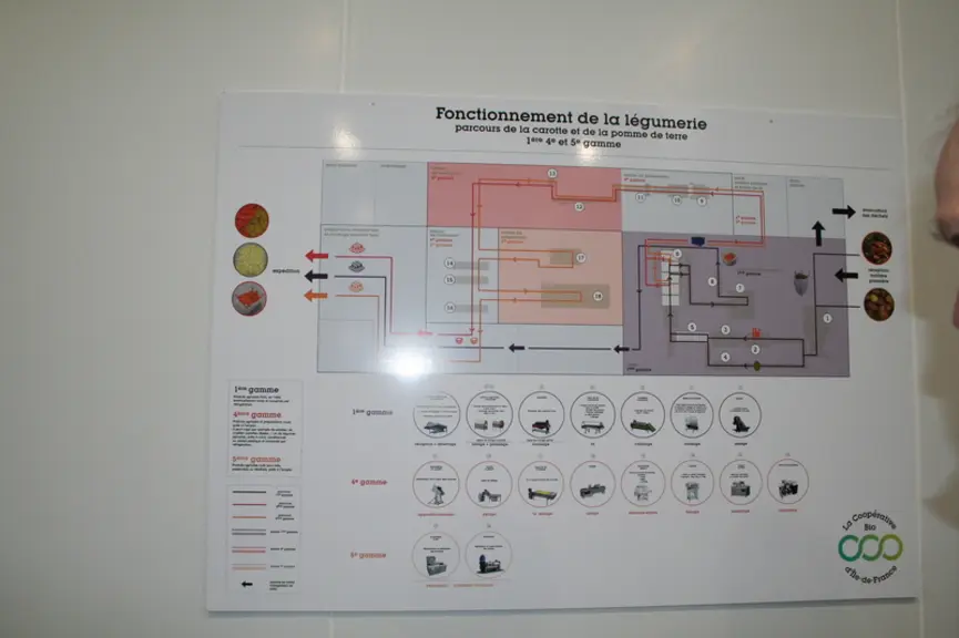Trois lignes pour trois segments proposés : la Ire gamme, surtout pour les magasins spécialisés à la recherche de produits lavés et conditionnés; la I