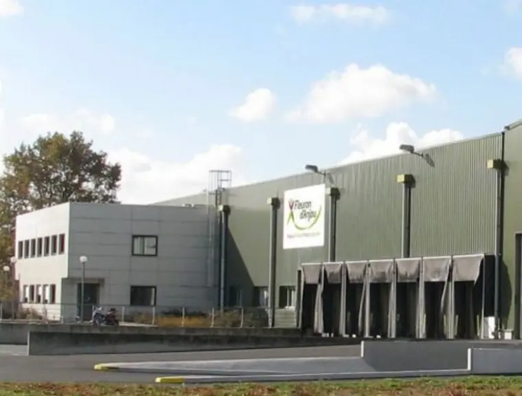 Le groupe Fleuron d’Anjou (67 M€ de chiffre d’affaires) a deux activités : le maraîchage avec les sites d’Allonnes (photo) récemment agrandi (2 200 m²