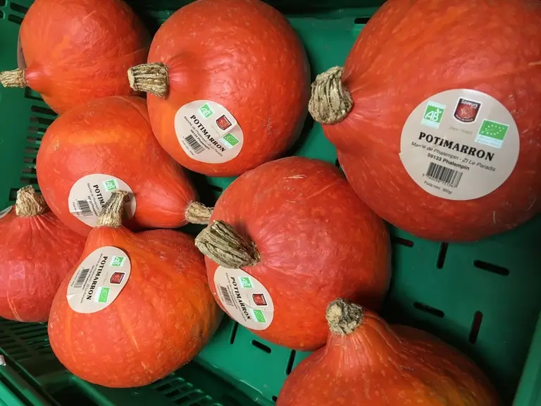 Avec 16 producteurs engagés, le potimarron est une valeur montante de l’offre bio du Marché de Phalempin. © Marché de Phalempin