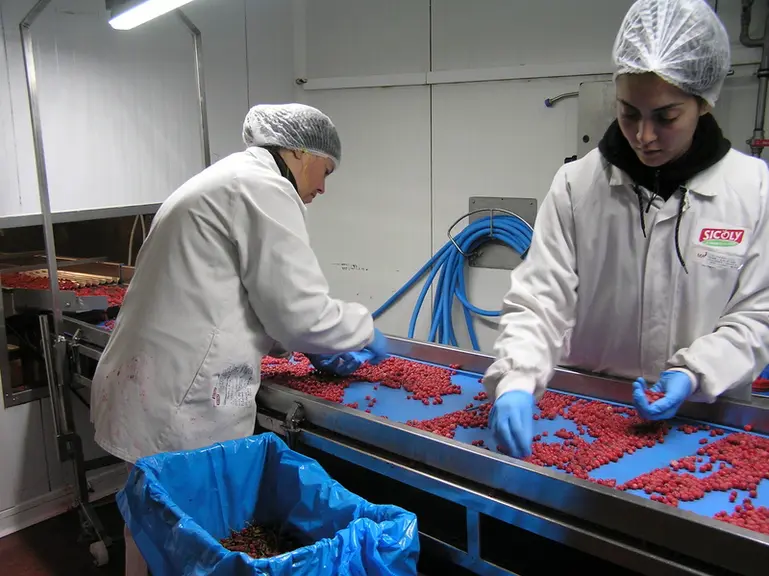 Le site de Sicoly à Saint-Laurent-d’Agny comprend deux lignes de transformation de fruits, quatre de conditionnement de purées et coulis, une de tri,