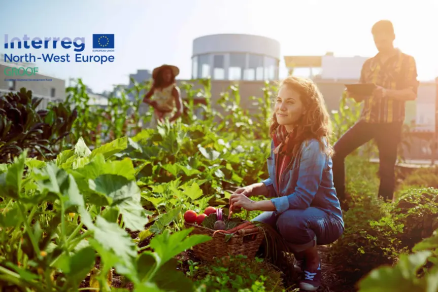 Groof (Greenhouses to Reduce CO2 on Roofs, Serre pour réduire le CO2 sur les toits) est un projet européen qui prévoit d'utiliser la chaleur non conso