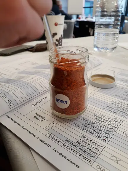 14 h : Les stagiaires désormais avertis réussissent à identifier des faux piments d’Espelette. Sur quatre échantillons, l’un était du paprika, le deux
