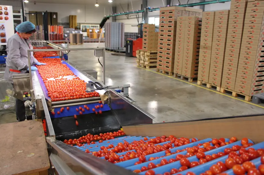 Après quelques semaines un peu compliquées, le marché fin avril était plutôt favorable pour les producteurs français. © Véronique Bargain - FLD ...