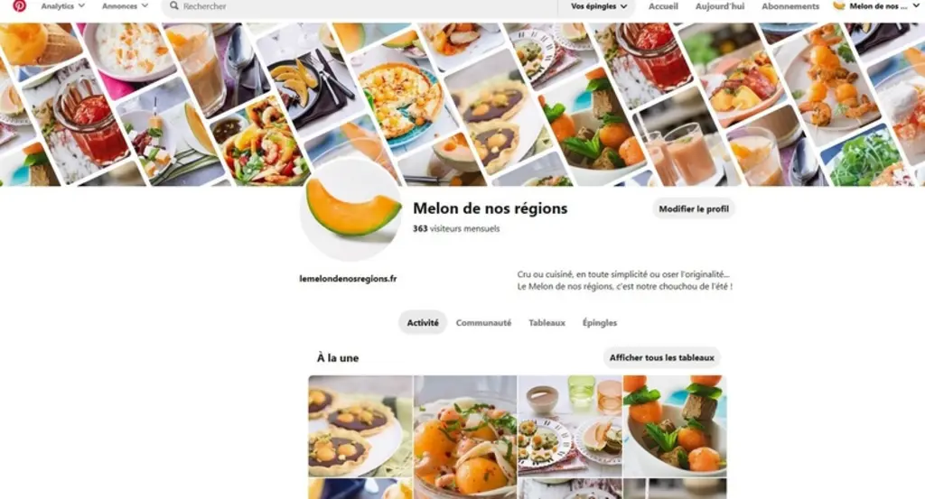 Les actions sur les réseaux sociaux sont amplifiées grâce à la collaboration avec une agence de communication spécialisée.Sur Pinterest, le visiteur e
