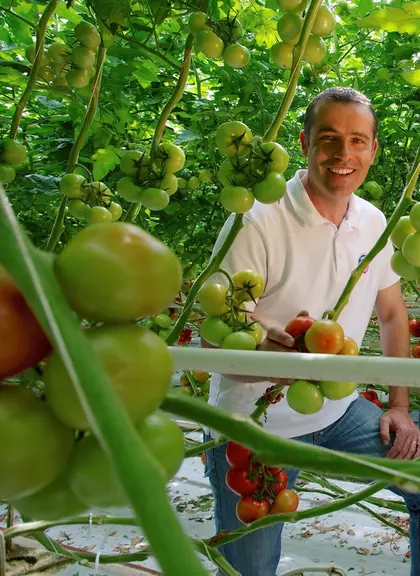 Laurent Bergé, président de l'AOP Tomates et Concombres de France : « Je n’avais encore jamais vu un tel niveau de hausse, sur tous les postes, et cel
