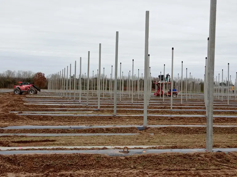  A Meauzac (Tarn-et-Garonne), la terre a été travaillée. Depuis Noël, les travaux d’infrastructures sont en cours : les poteaux en béton ont été plantés, les amarres posées, et en ce début février c’est la mise des chapeaux sur les poteaux. Puis il y aura les câbles à dérouler, plus de 40 km ! Pour les couverts plastique (parcelle de kiwi jaune), il s’agira de poteaux en bois, plus souples. Les plantations des arbres, 8 000 plants, auront lieu en ...