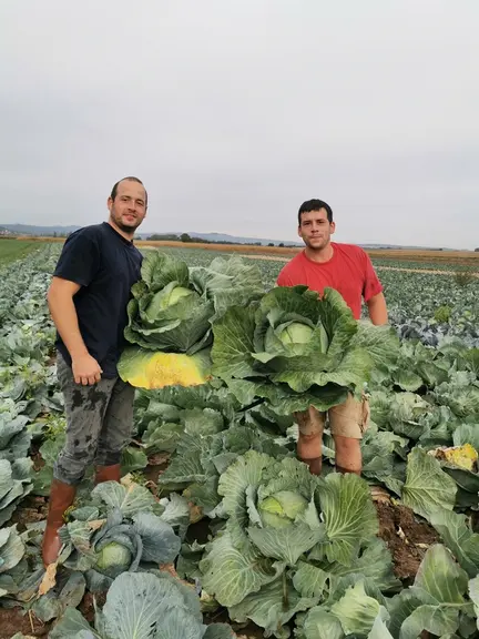 Florent (gauche) et Xavier (droite) Ades, dirigeants de la choucrouterie familiale, font partie des trois derniers transformateurs de navets en Alsace