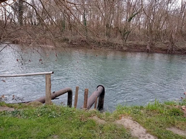 Le kiwi demande des terres drainantes et riches, un climat tempéré (pas trop froid, pas trop de vent), et a de forts besoins en eau (en particulier po