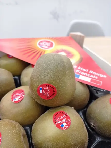 Les opérateurs français se saisissent du kiwi rouge