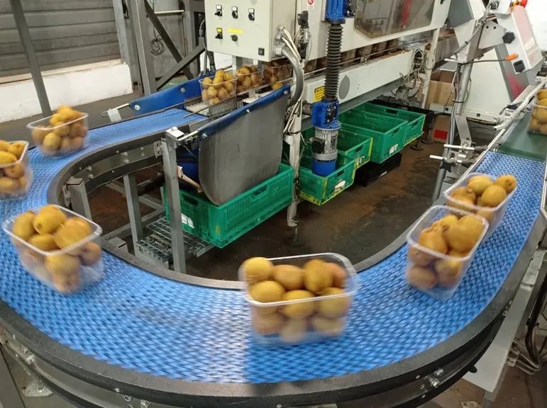 Les opérateurs vont devoir basculer de la barquette plastique à la barquette carton.