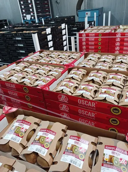 Primland commercialise le kiwi de l'Adour IGP et Label Rouge sous sa marque propre Oscar.