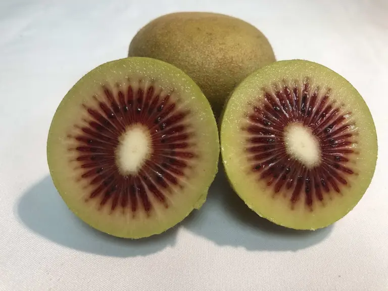 Les opérateurs français se saisissent du kiwi rouge
