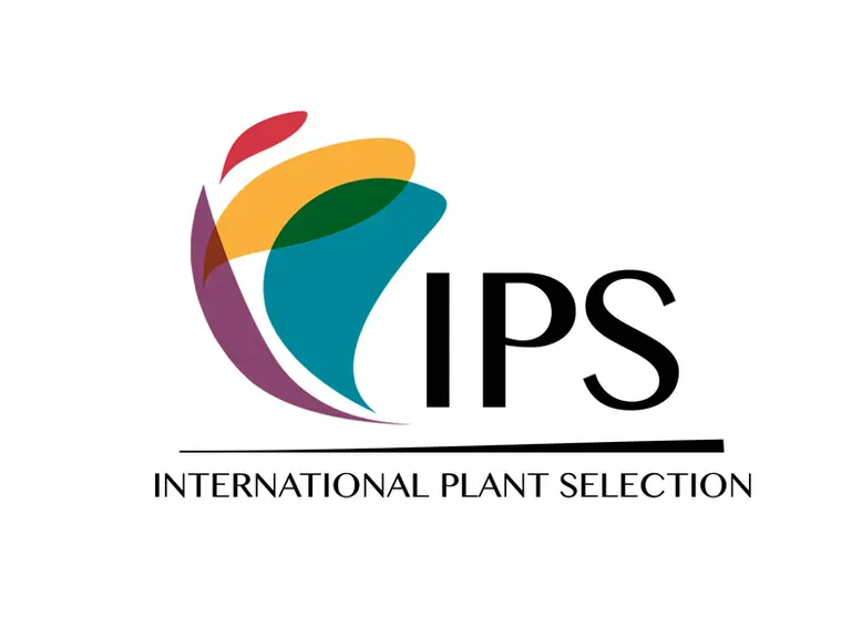 © IPS