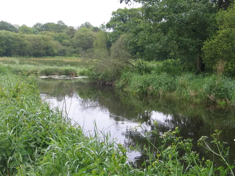 Des cultures moins gourmandes en eau et un pilotage plus précis de l’irrigation vont devenir essentiels.