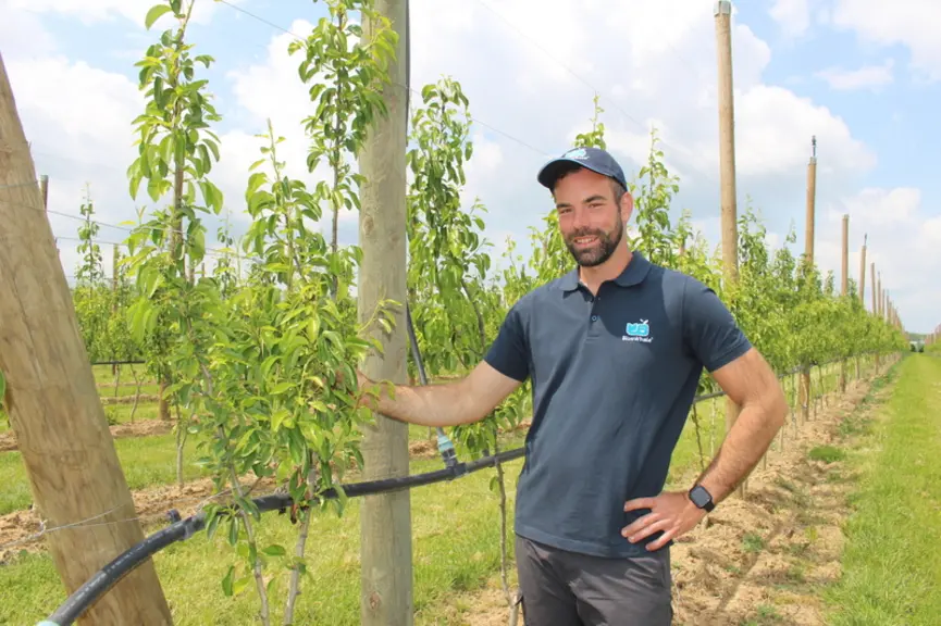 La poire était le choix de diversification le plus naturel pour Thomas Delfau.