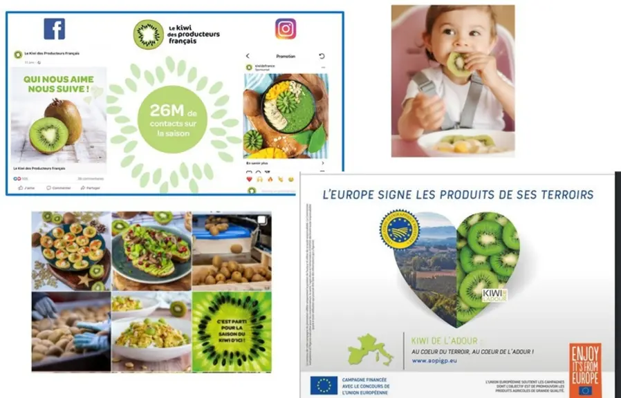 Différentes communications génériques et institutionnelles pour le kiwi : le Bureau interprofessionnel du Kiwi vise l'origine France et les aspects sa