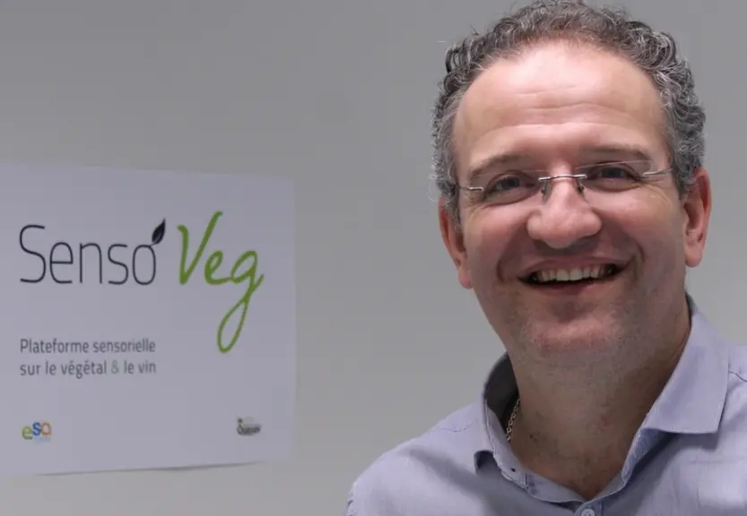 Dresser le profil sensoriel des pommes : une roue des arômes pour objectiver le goût