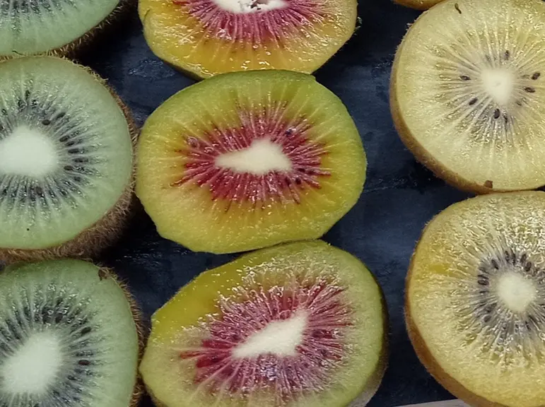 Trois couleurs désormais dans la gamme kiwi.