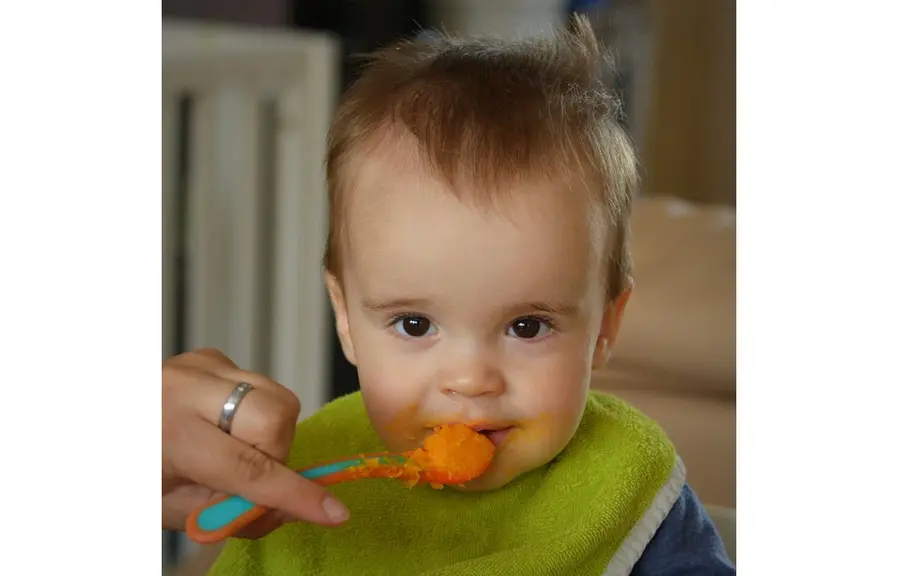 Enfant en bas âge mangeant des fruits et légumes en purée
