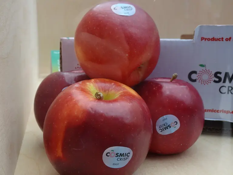 pomme Cosmic Crisp
