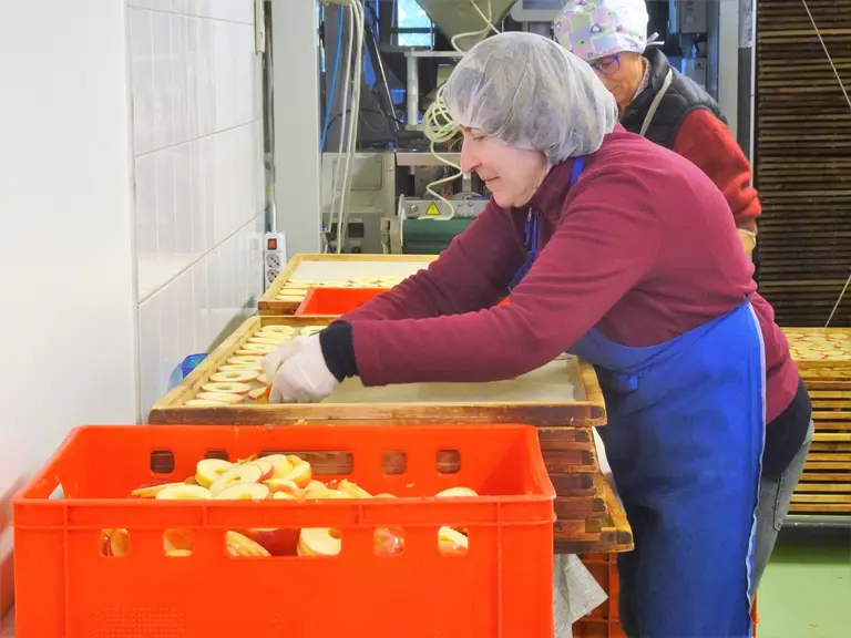 atelier chips de pommes Frutty