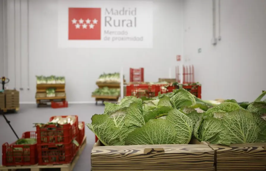 gros plan sur des choux vendus à Madrid Rural, marché de producteurs de la capitale espagnole