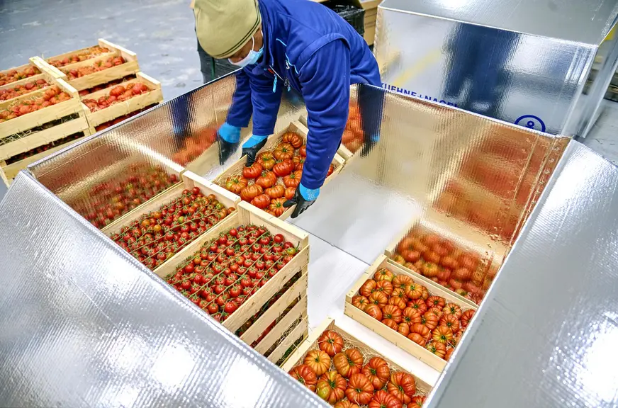 Kuehne+Nagel a développé un carton export totalement tapissé d’aluminium pour une meilleure préservation des produits sur la longue durée. Il est dédié à des produits premium et/ou expédiés sur des destinations très lointaines. 