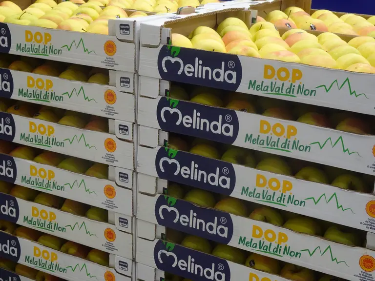 palettes de pommes 