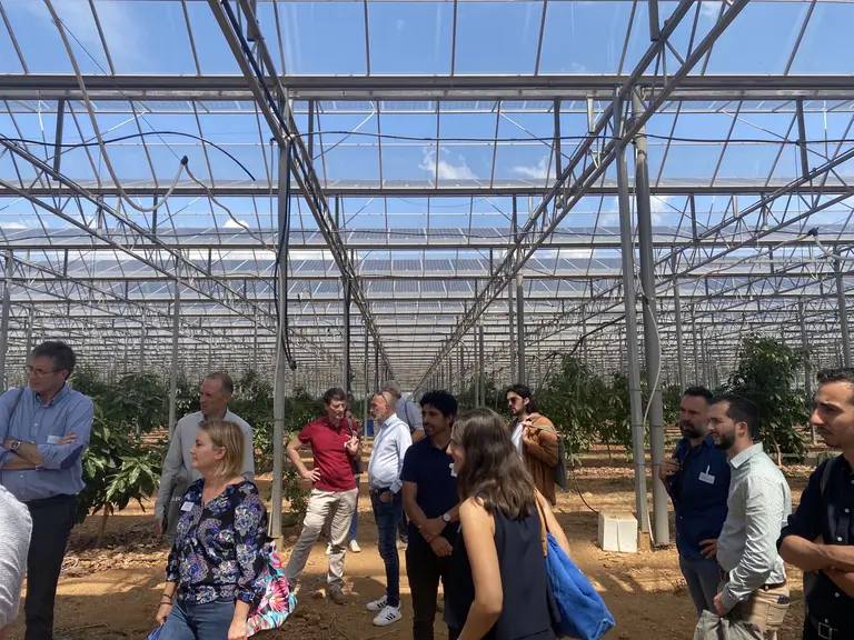 Visite d'une serre Urbasolar