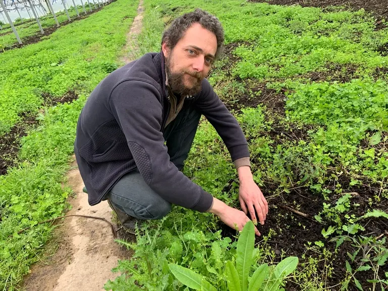 François Mulet, gérant du centre d'essais Les Serres de Marcel. « En cinq à six mois, en situation classique, les sols retrouvent leur dynamisme. »