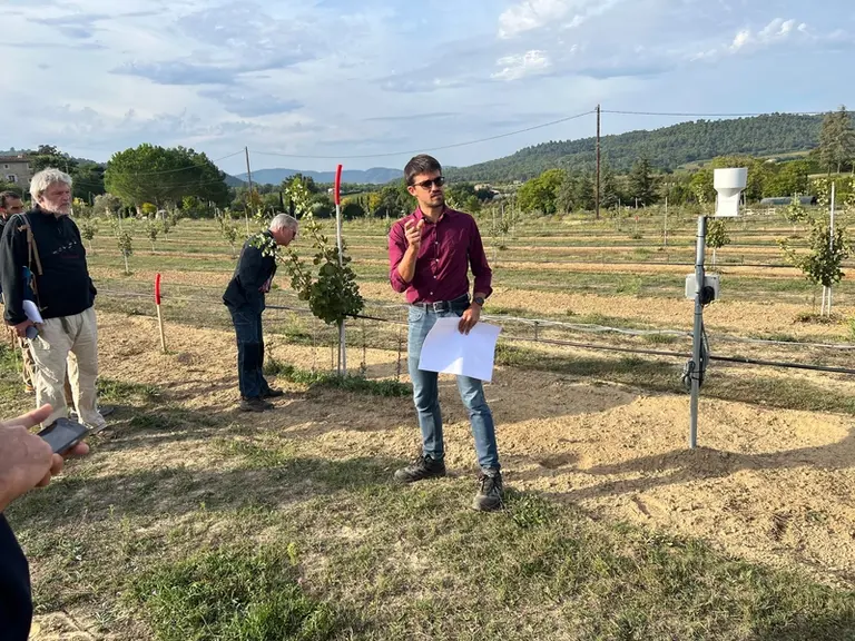Comme l’explique Francisco Bustamante, chargé d’affaires arboriculture à la société du canal de Provence, le pistachier est sensible à l’asphyxie et s