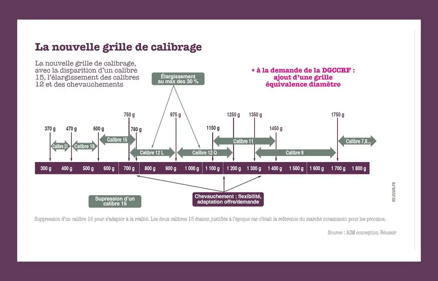 La nouvelle grille de calibrage pour le melon prévoit la disparition d’un des deux calibres 15, l’élargissement des calibres 12 ainsi que des chevauchements.