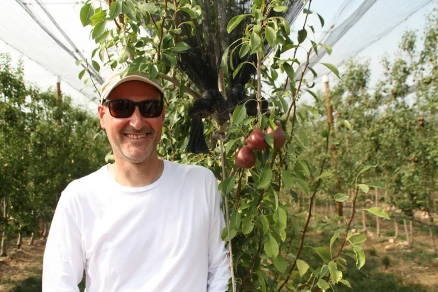 Nufri a choisi la variété de poire Elliot pour sa qualité de conservation, selon Jaume Badia, responsable technique du groupe.