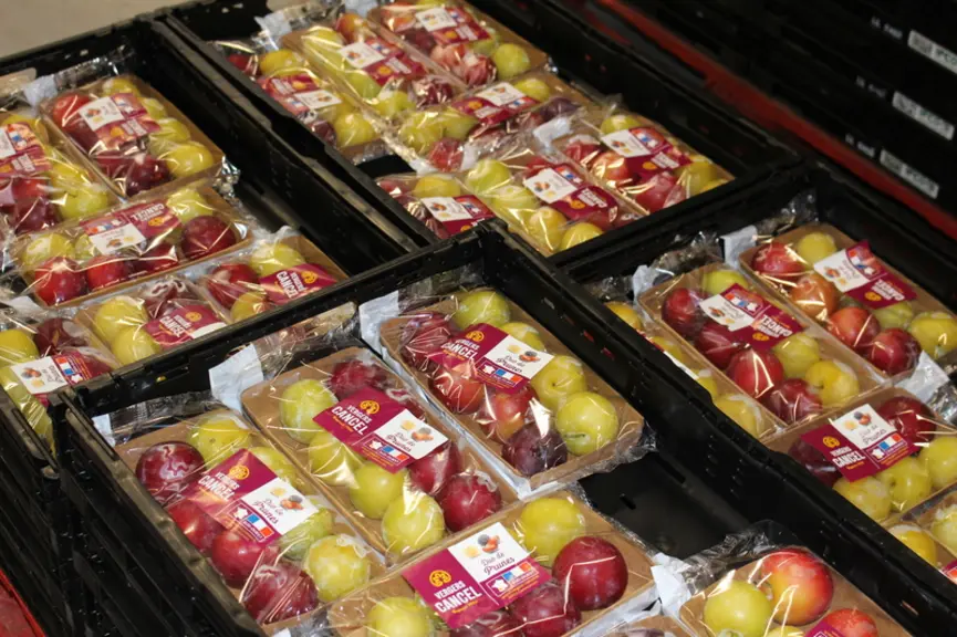 L’entreprise a encore jusqu’à la fin de l’année pour assurer la transition entre plastique et carton.