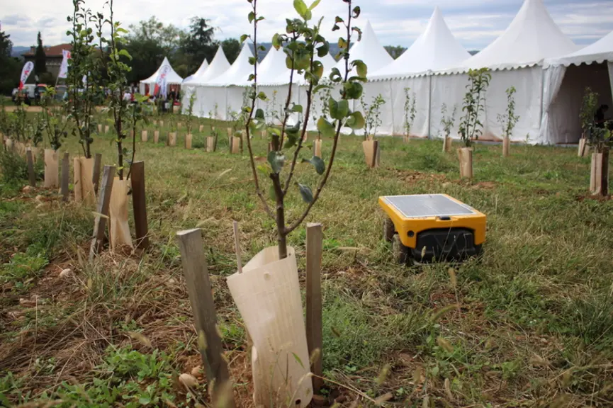Vitirover - Robot tondeur pour les vergers