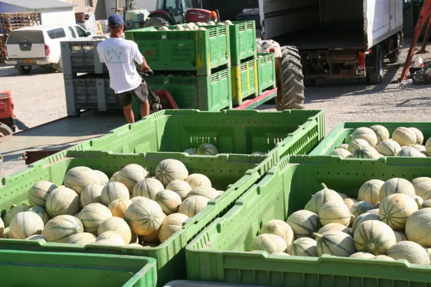 Le Sud-Est s'est nettement développé depuis dix ans. Ce bassin représente 54 % de la production nationale.