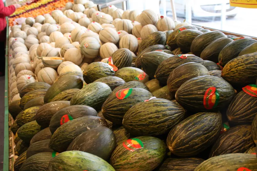 Le melon Piel de Sapo est présent dans 32 % des points de vente en juillet.