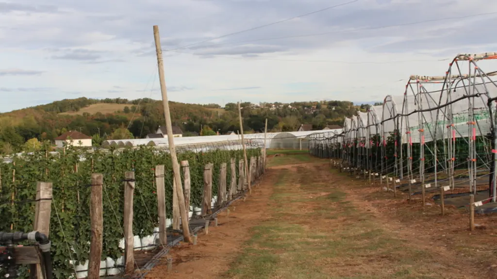 L'Earl de la Chapelle souhaite adaptée ses abris à l'évolution climatique. 