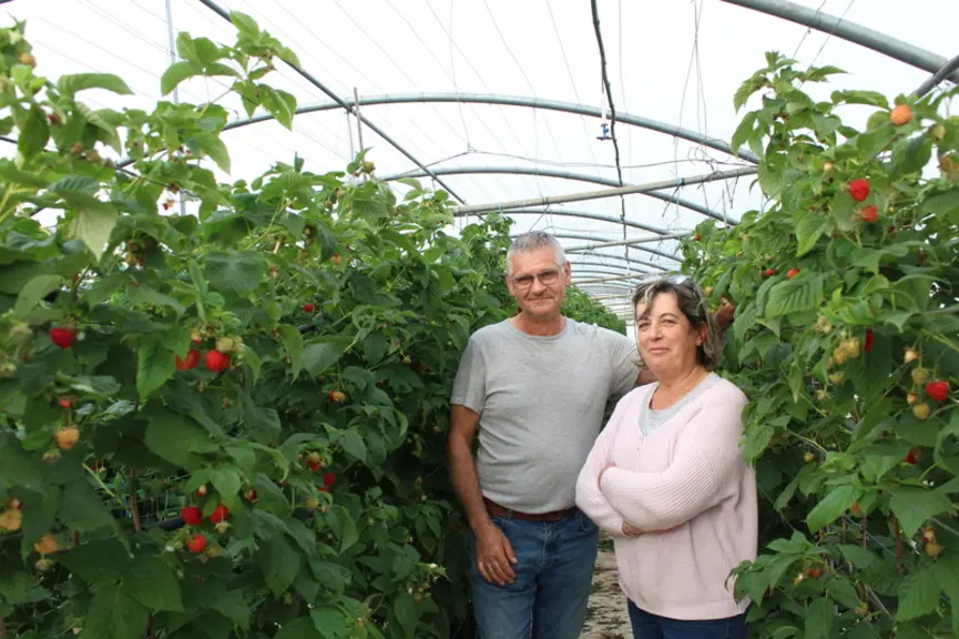 Mireille et Thierry Durand ont spécialisé leur exploitation dans la framboise et maintenant la mûre.