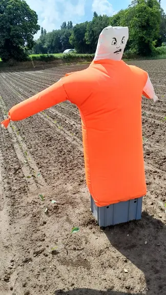 Cet effaroucheur gonflable a été testé avec un effet sonore et visuel.