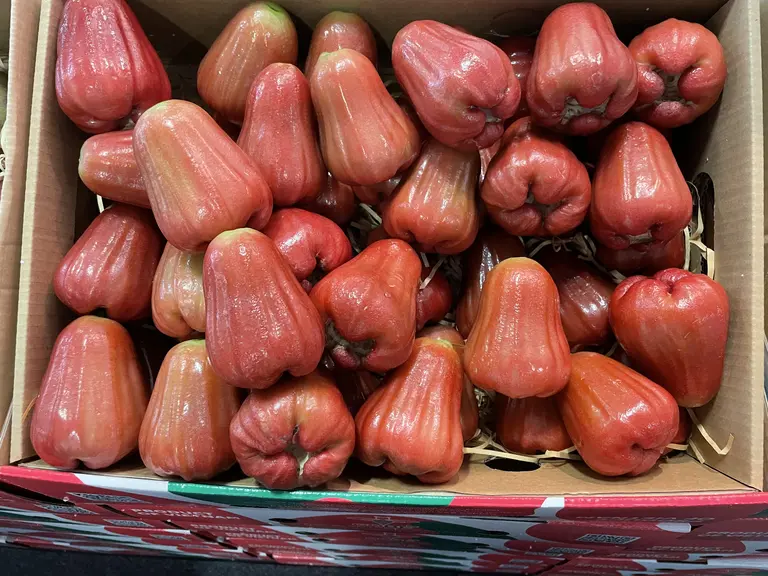 Pommes de rose du Vietnam à Fruit Logistica 2024.