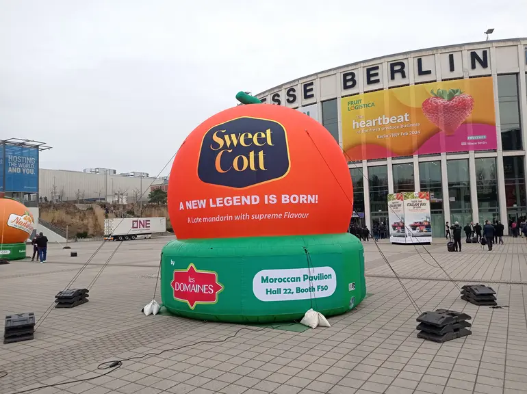 Sur Fruit Logistica, Les Domaines ont fortement communiqué sur Sweet Cott, leur nouvelle mandarine, dont la véritable première saison aura lieu en 202