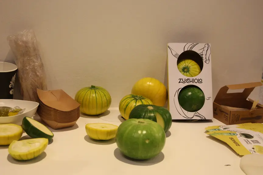 Zucchiolo - Unica Fresh - nouveau légume entre courgette et concombre