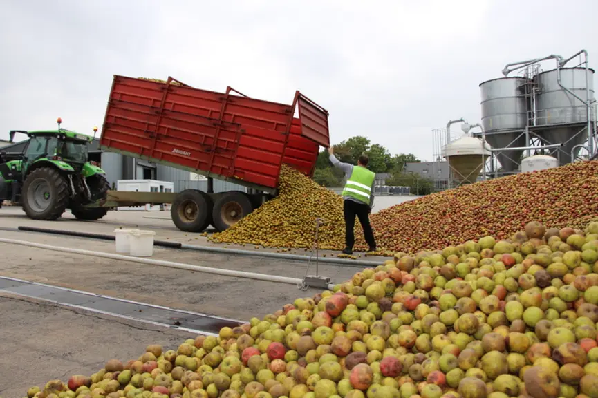 pomme à cidre - cuves