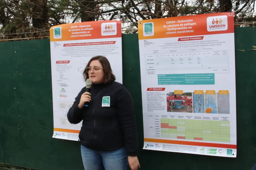 Comme en arboriculture, les solutions de paillage utilisées en culture légumière permettent de réduire l’usage des herbicides.