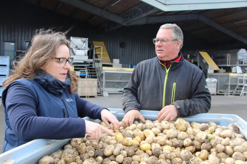 Jessica Tessier et Laurent Tessier - pomme de terre primeur de Noirmoutier